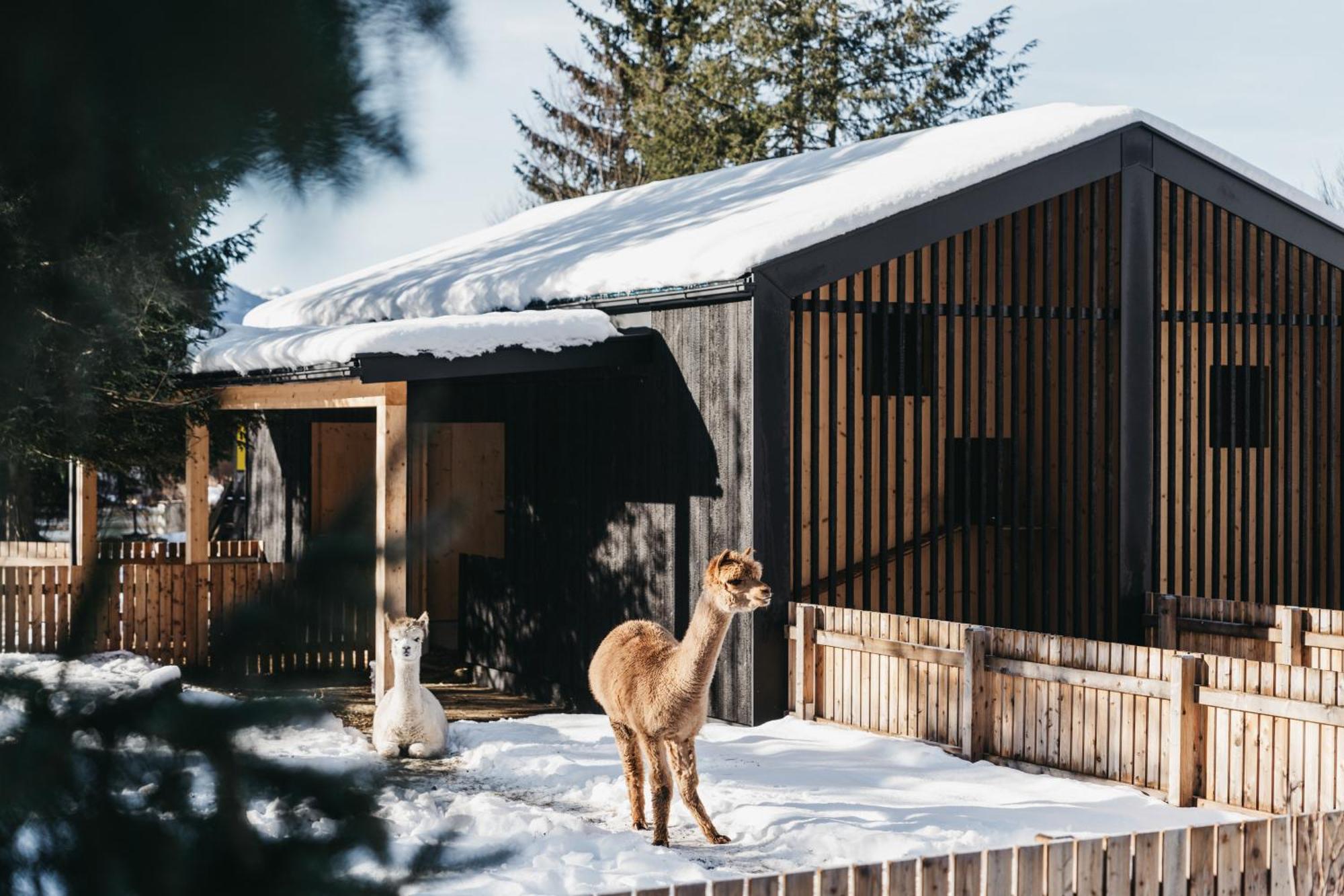 Hotel Oberforsthof Sankt Johann im Pongau Eksteriør bilde